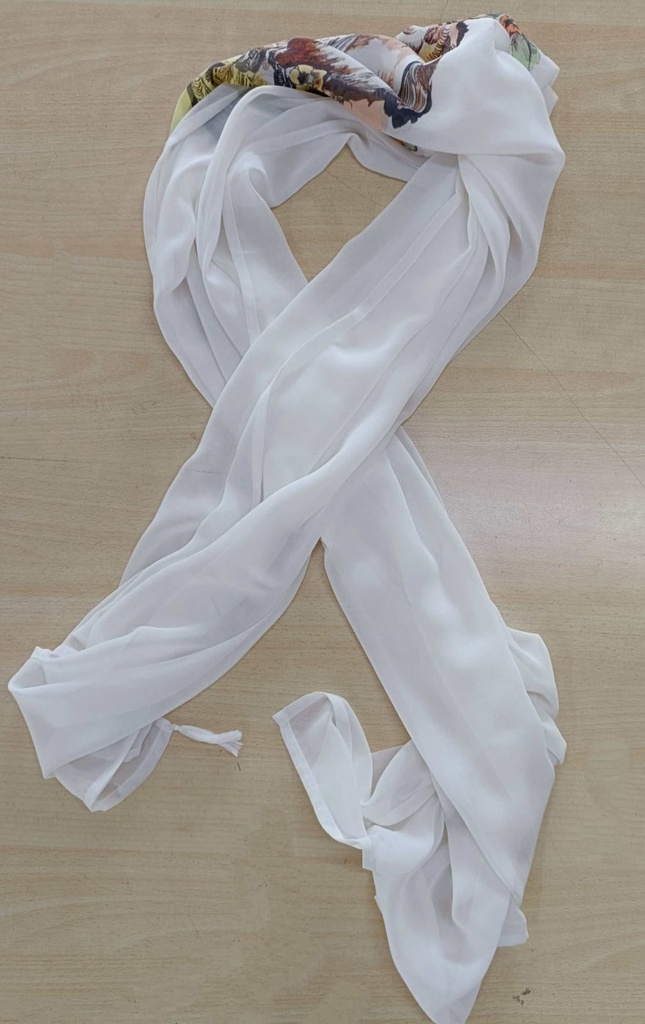 91B240 Scarf 67cm x 175cm