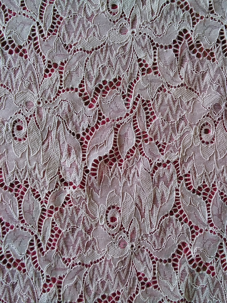 [OTA 603{LP18068(E0987)} 89% Polyamid- 11% Elastane (Width-145 CMS +- 5%) (Lace)] OTA 603 (LP18068(E0987))