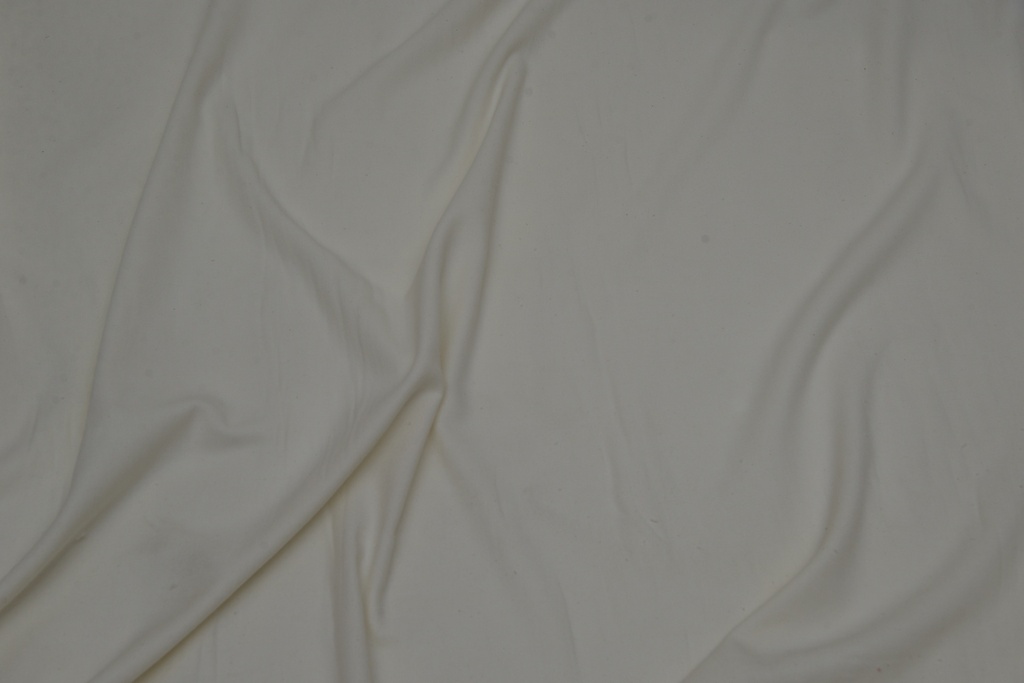 [2/60, Cotton X Cotton 256 GSM 100%Cotton RFD] GERBERA 54” RFD