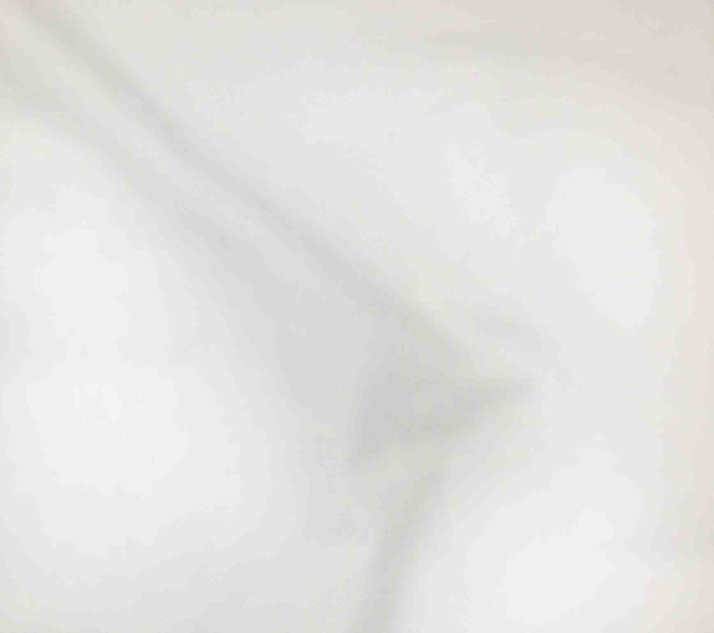 [Carbon Peached Face Side 271 GSM  87% Cotton 13% Elastine RFD] MARJORAM 47” RFD