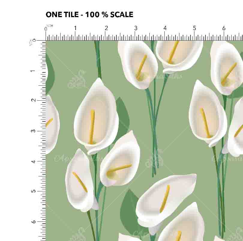 [RCT 1565 A] RCT 1565 (A)