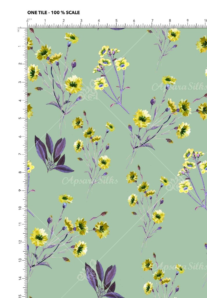 [RCT 1627 A] RCT 1627 (A)