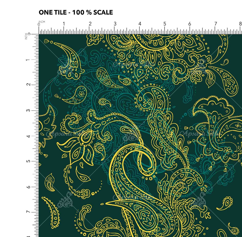 [RCT 1670 A] RCT 1670 (A)