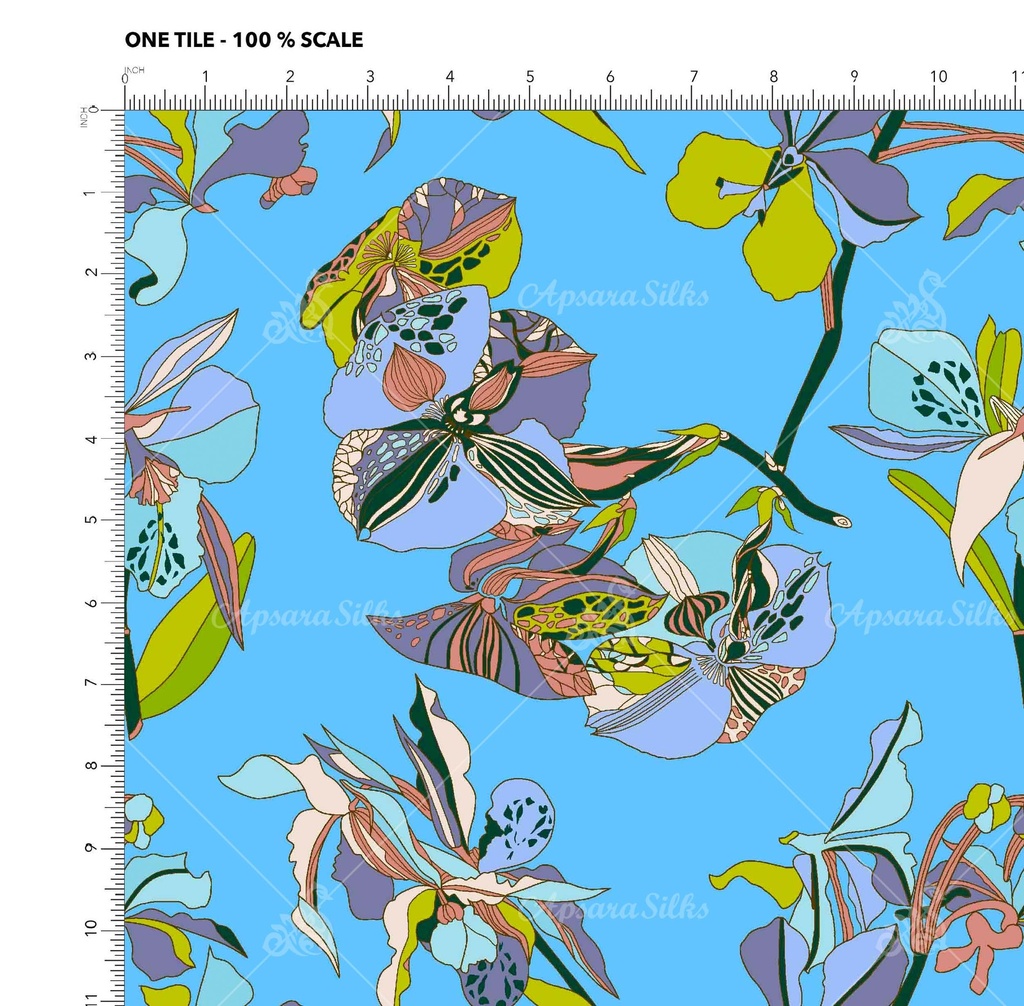 [RCT 1697 A] RCT 1697 (A)