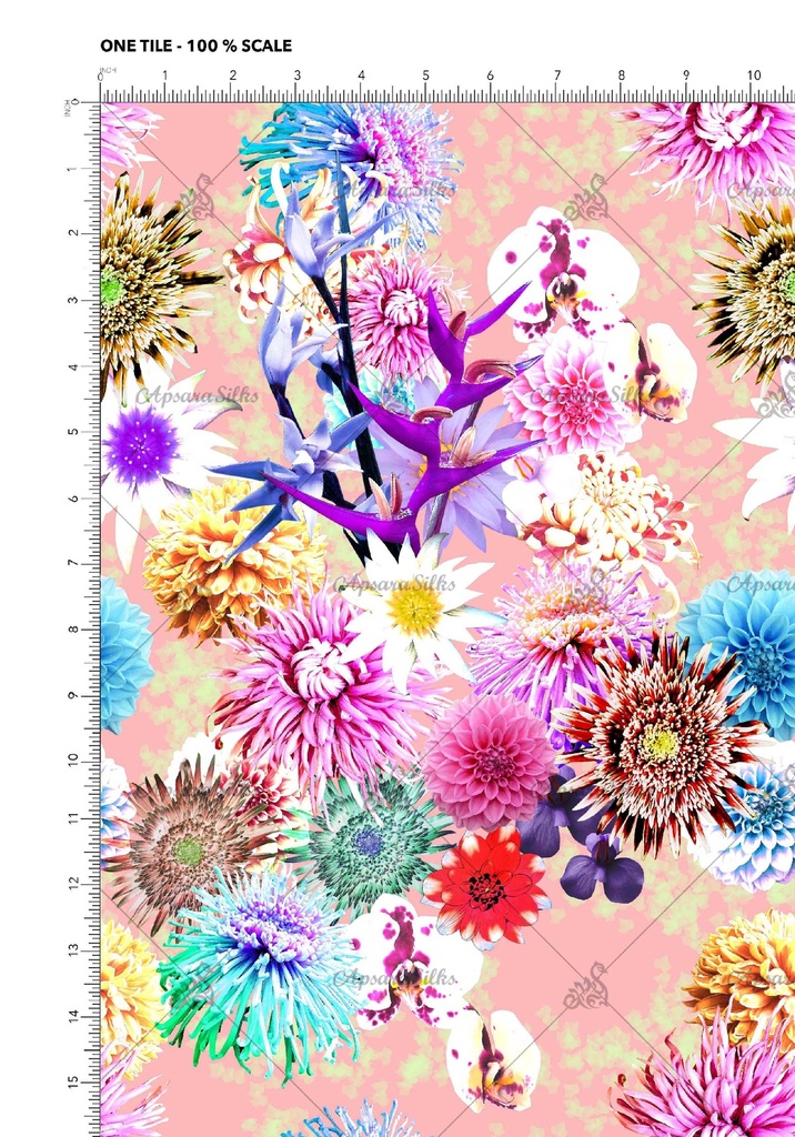 [RCT 517 A] RCT 517 (A)