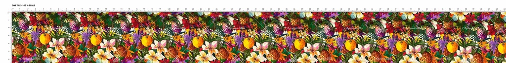 [RCT 568 A] RCT 568 (A)