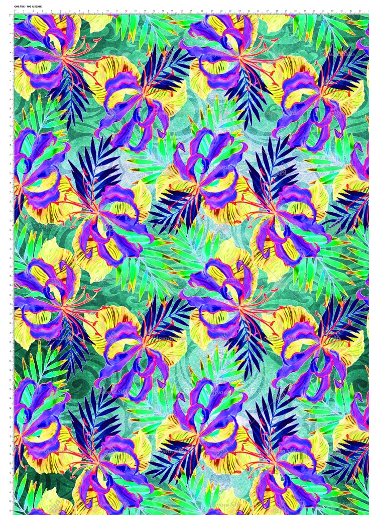 [RCT 760 C] RCT 760 (C)