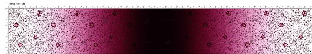 DPS 70