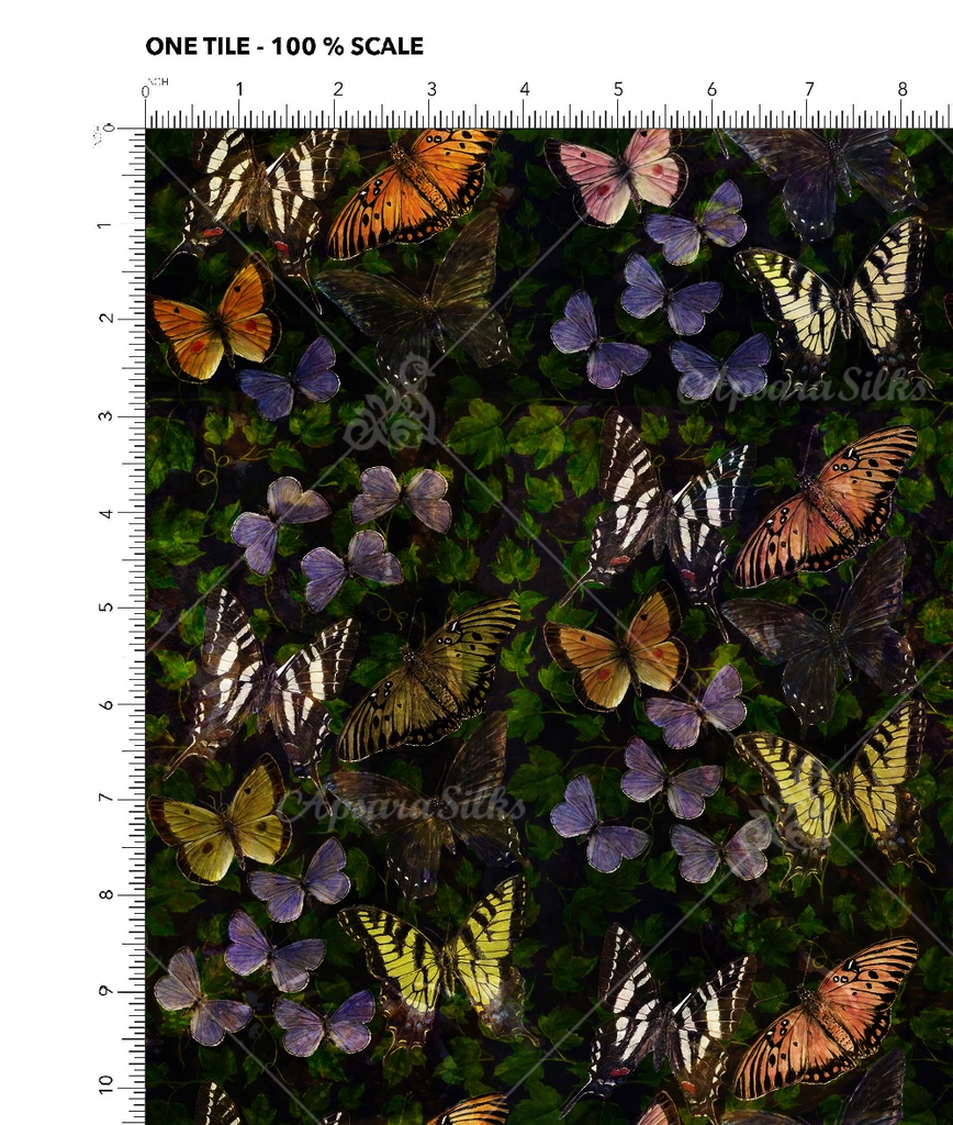 [DPS 117 A] DPS 117 (A)