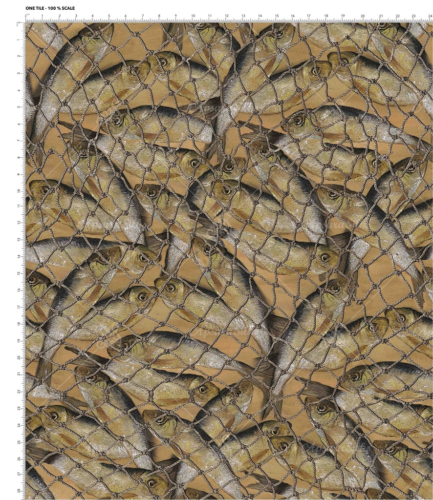 [DGP 2062 A] DGP 2062 (A)