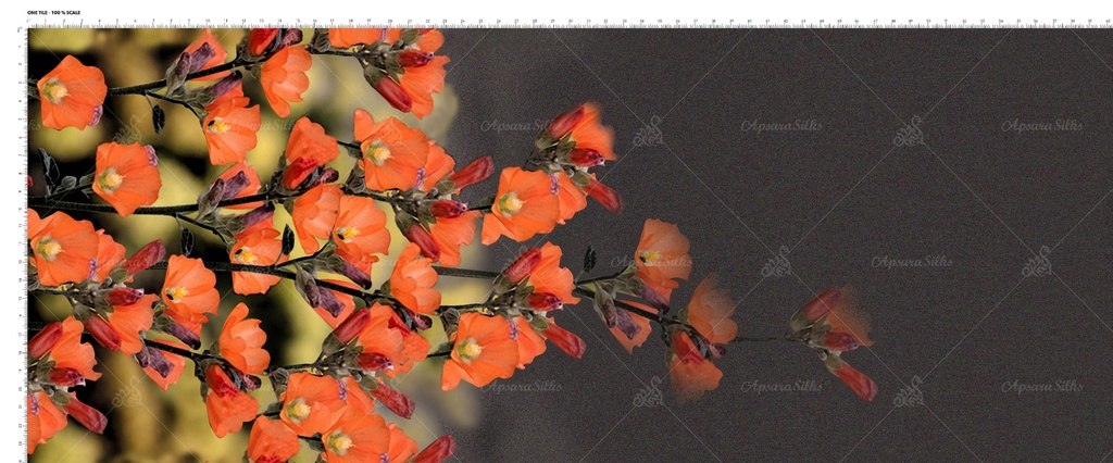 [DGP 1903 A] DGP 1903 (A)