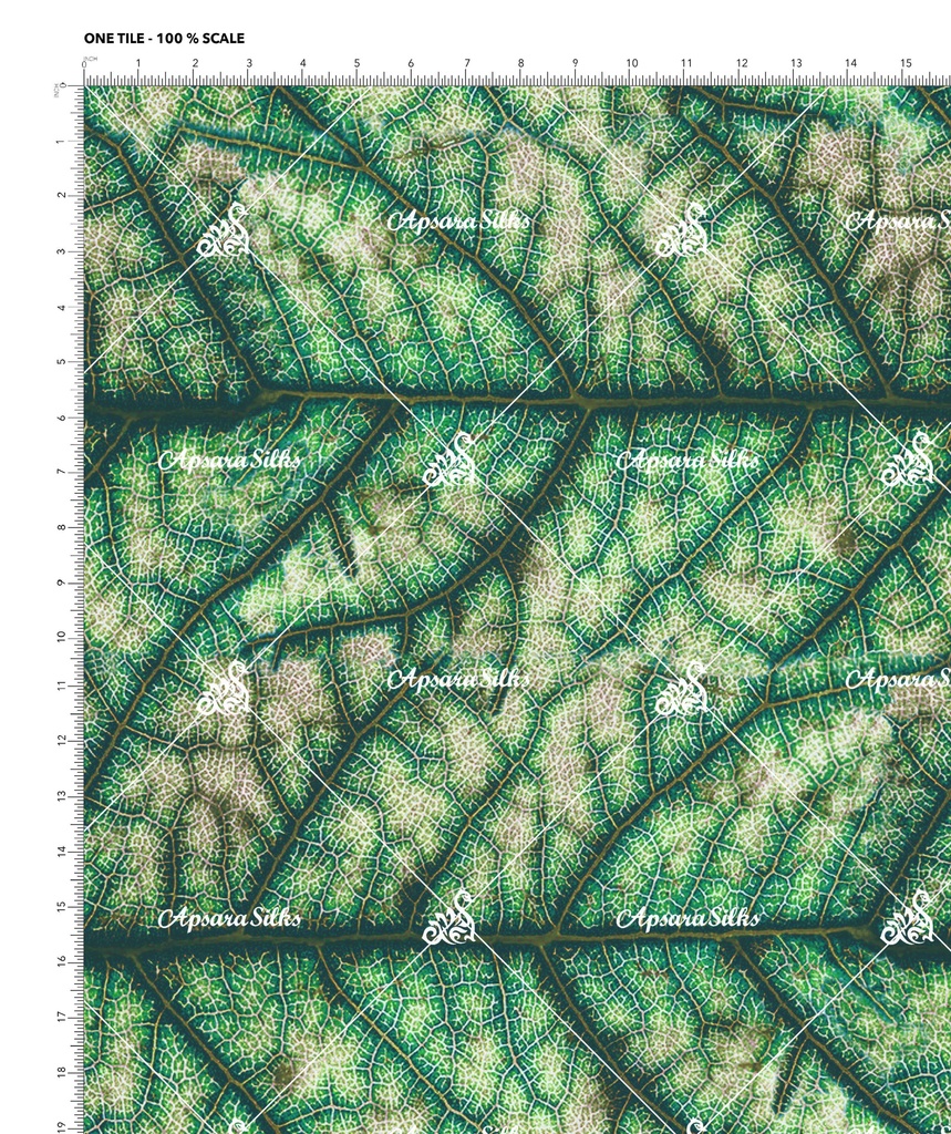 [DGP 1746 A] DGP 1746 (A)