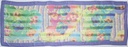 91B87 Scarf 178cm x 60cm