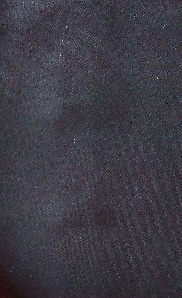 [CH 313(540) 100% POLYESTER (282 GLM) (137 CMS) (Solid)] CH 313 (540)