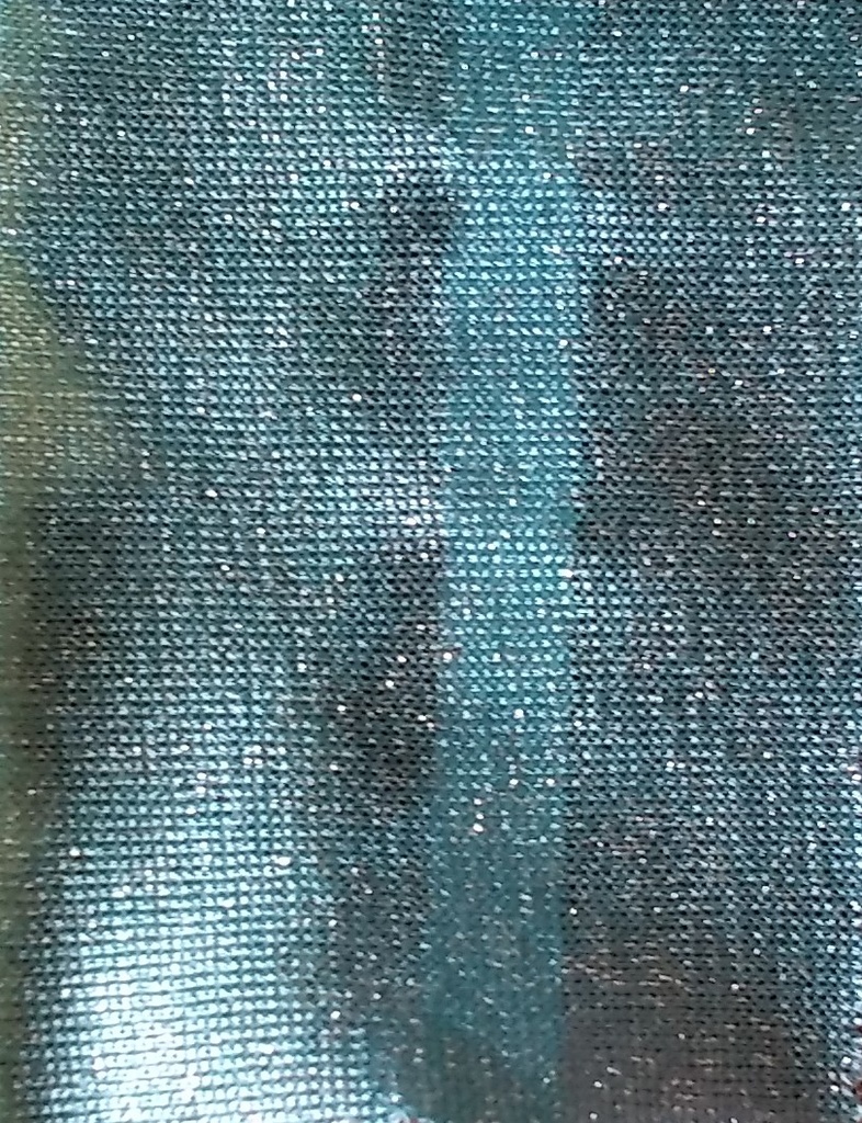 [CH 309(6489) 70% VISCOSE 30% METAL(193 GLM) (135 CMS) (Lurex)] CH 309 (6489)