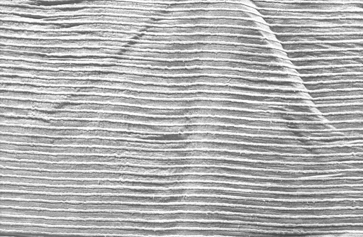 [OTA 1241 - Composition: 100% Silk Strip, Width: 54", Weight: 230 GLM] OTA 1241