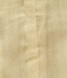 CH 307