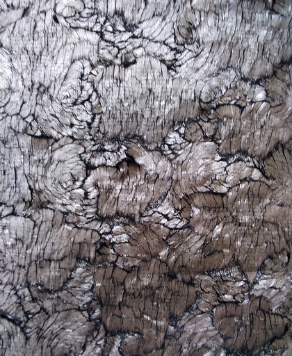 [CH 202 (290 g/m sq)(56/57") (fancy velvet- fur imitation)] CH 202