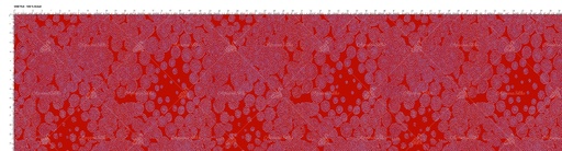RCT 277